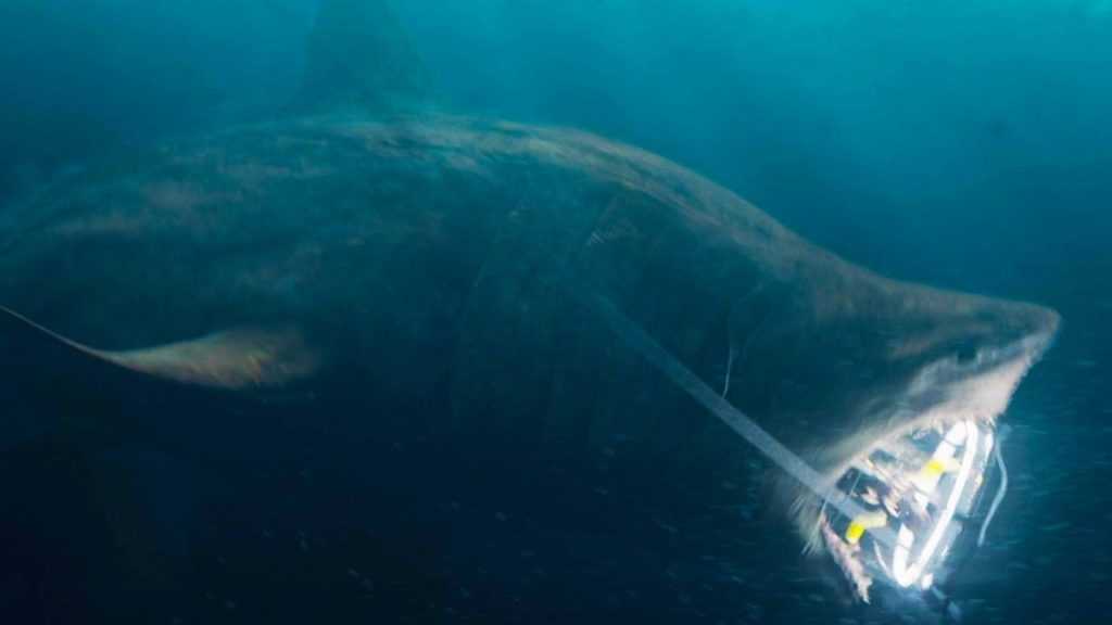 مراجعة فيلم the meg - جيسون ستاثام VS سمكة القرش "ميجالودون" 3 the meg